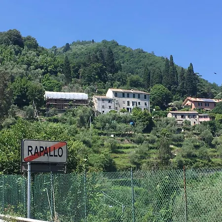 Molfinetta