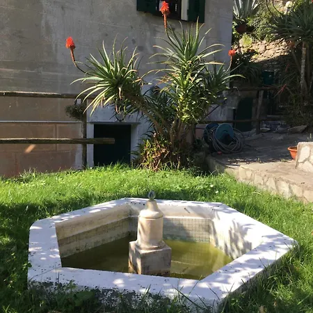 Apartment Molfinetta Rapallo