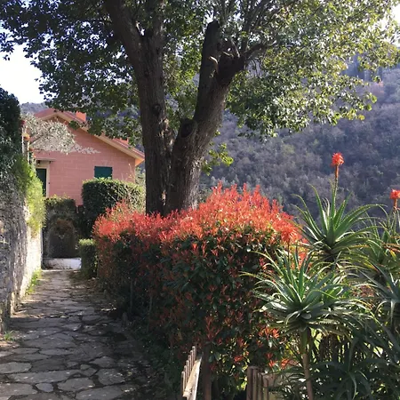 Apartment Molfinetta Rapallo
